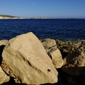 DSCF8067