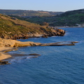 DSCF8340