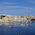 DSCF8636