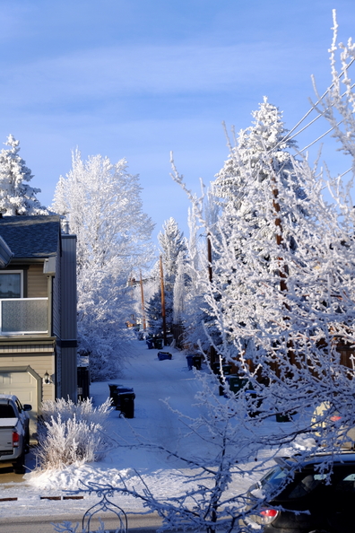 DSCF9187.jpg