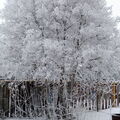 DSCF9169