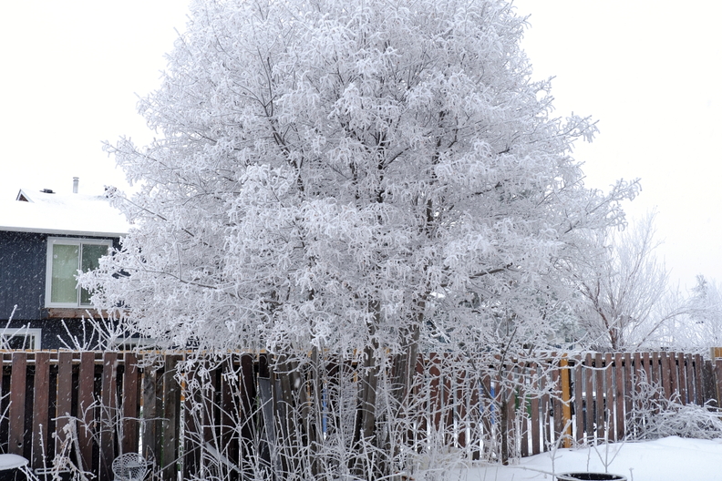 DSCF9171.jpg