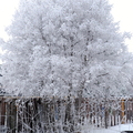 DSCF9171