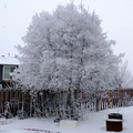 DSCF9172