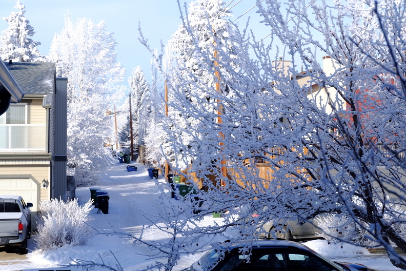 DSCF9176.jpg