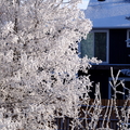 DSCF9180